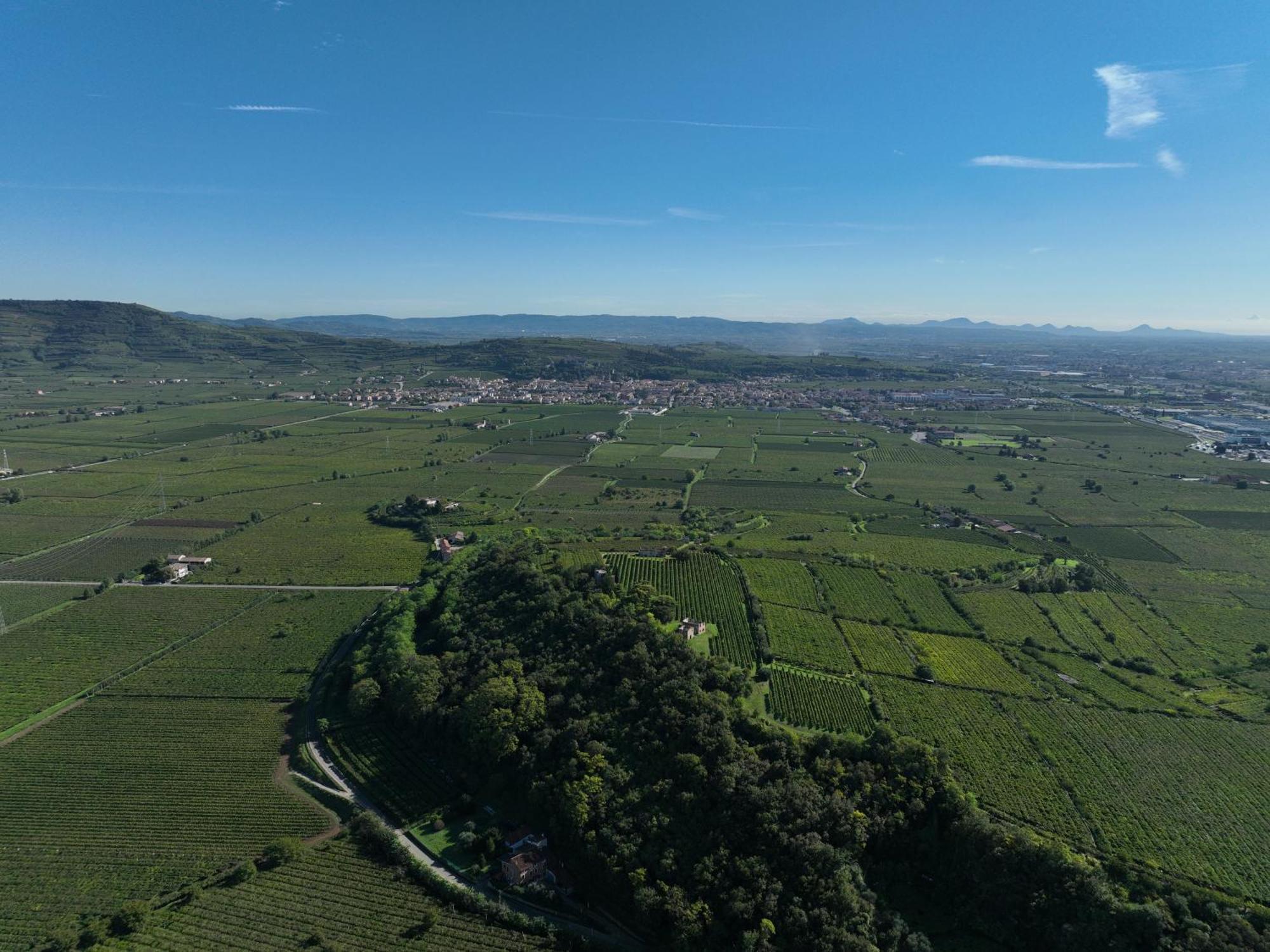 Agriturismo Monte Bisson Soave (Verona) Exterior foto